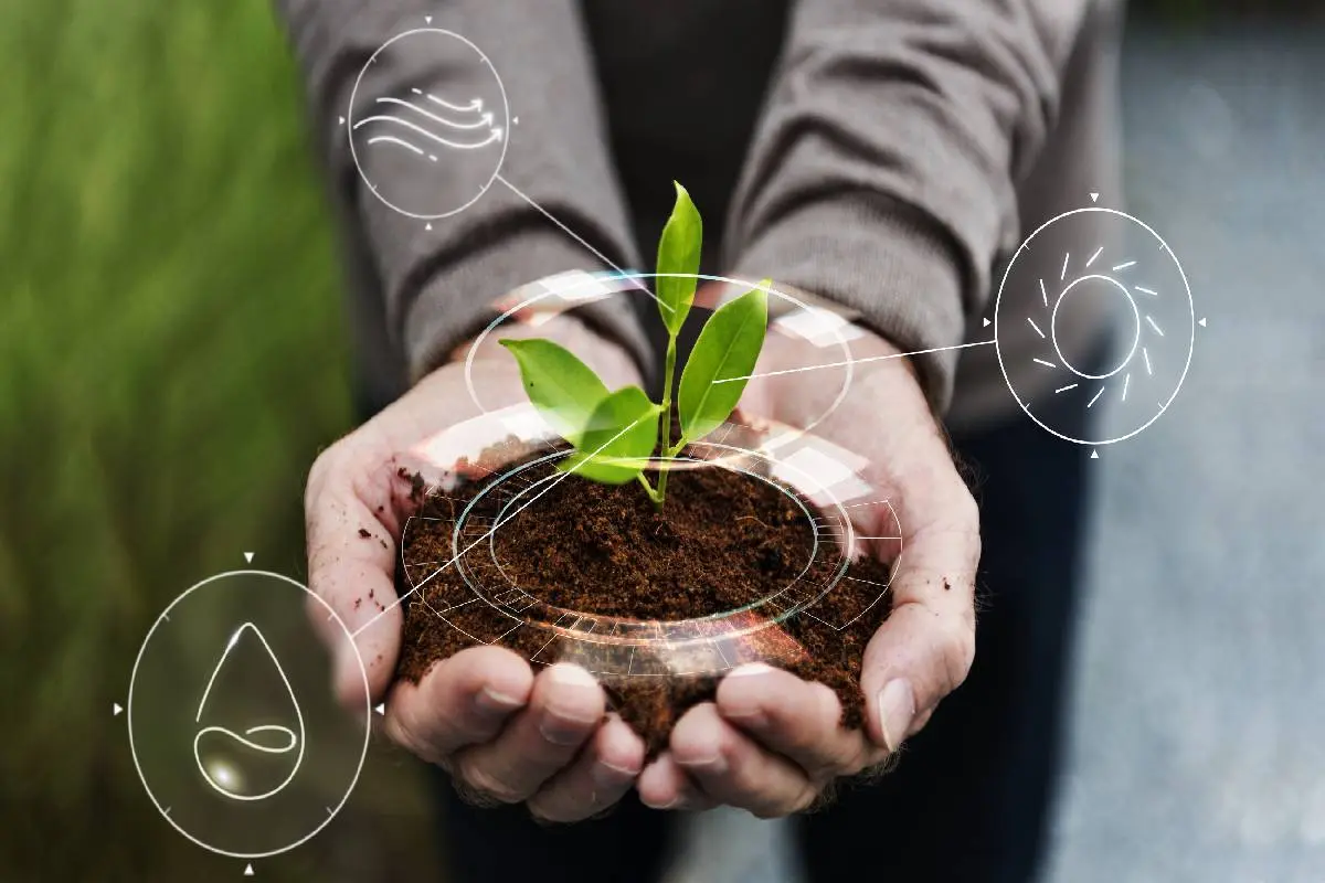 Práticas sustentáveis na agricultura